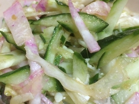 京大根、きゅうり、白菜のサラダ(*^^*)